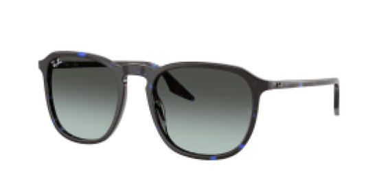 Ray-Ban RB2203 1430GK