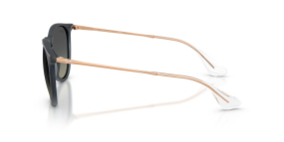 Ray-Ban RB4171 681311