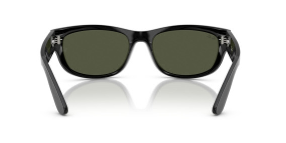 Ray-Ban RB2289 901/31