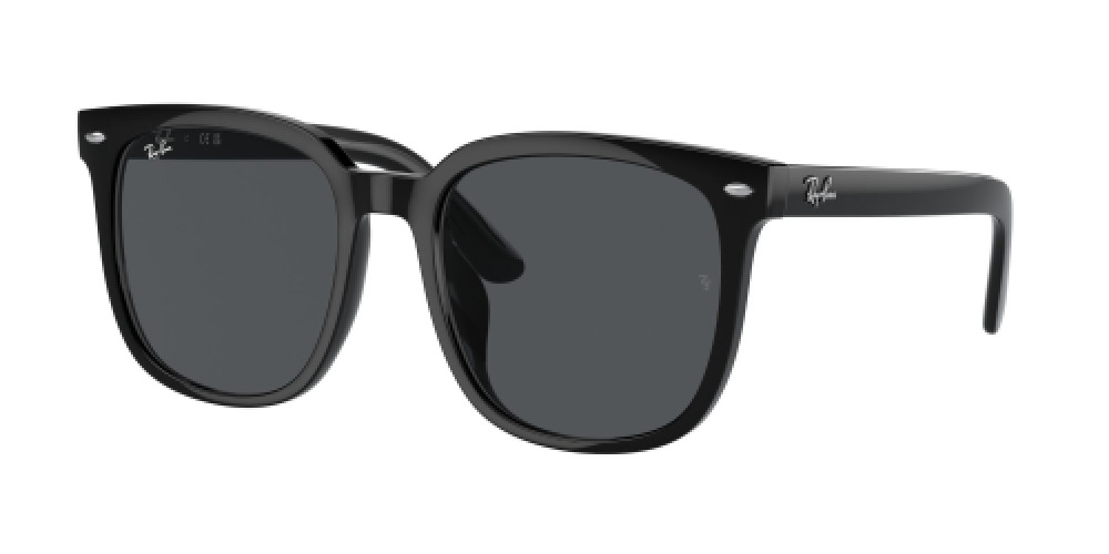Ray-Ban RB4401D 601/87