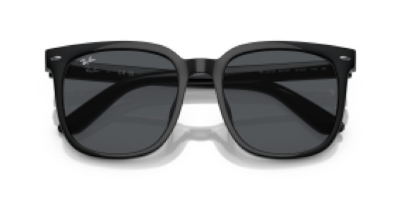 Ray-Ban RB4401D 601/87
