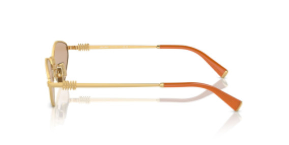 Miu Miu MU56ZS 5AK40D