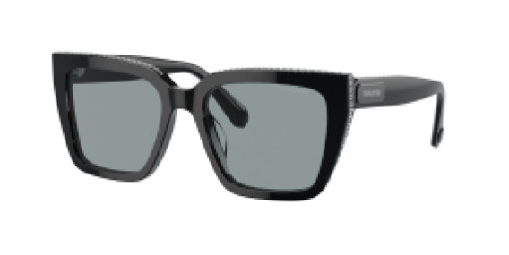 Swarovski SK 6013 1010/1