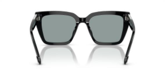 Swarovski SK 6013 1010/1