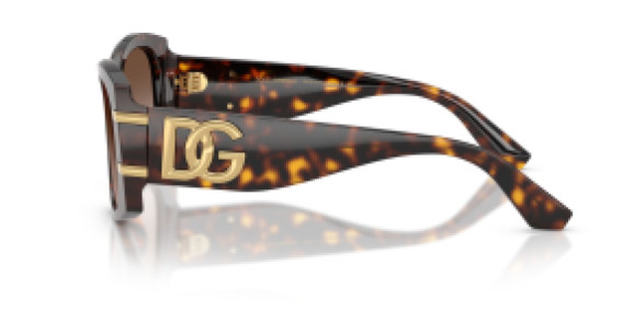 Dolce&Gabbana DG 4501 502/13