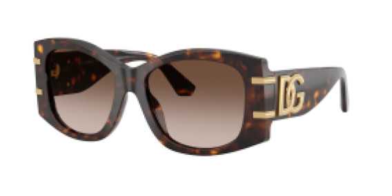 Dolce&Gabbana DG 4501 502/13