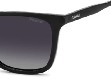 Polaroid PLD4190/S 807 WJ