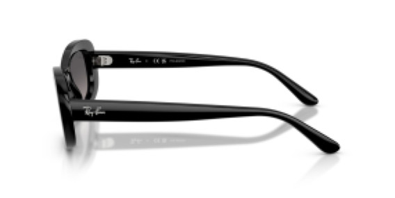 Ray-Ban RB2221 901/M3