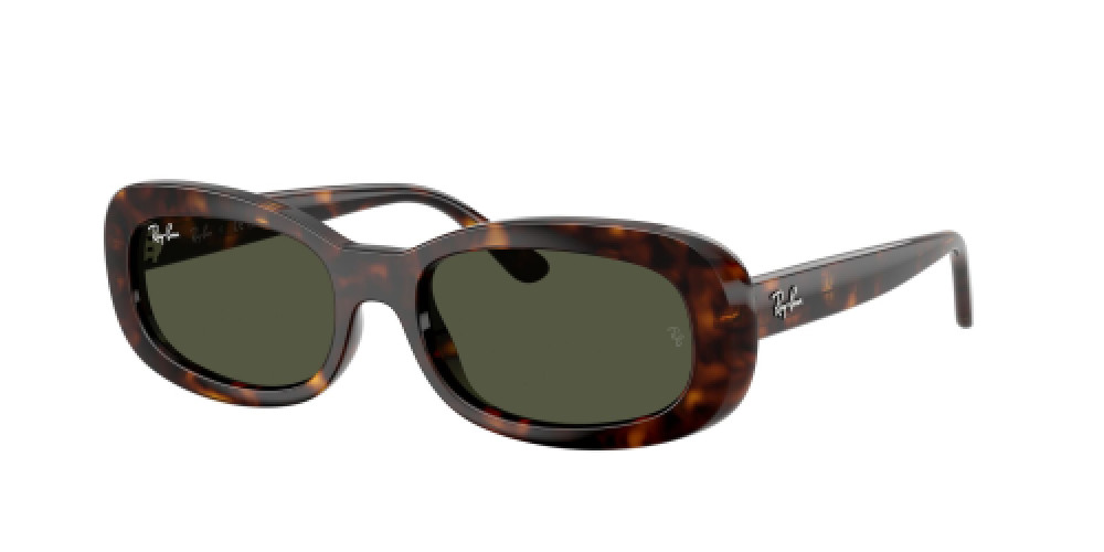Ray-Ban RB2221 902/31
