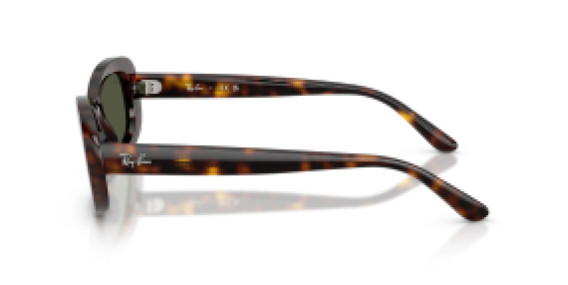 Ray-Ban RB2221 902/31