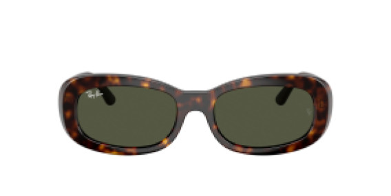 Ray-Ban RB2221 902/31