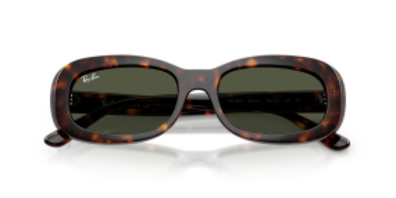 Ray-Ban RB2221 902/31