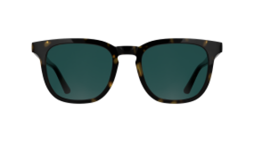 Calvin Klein CK25536S 235