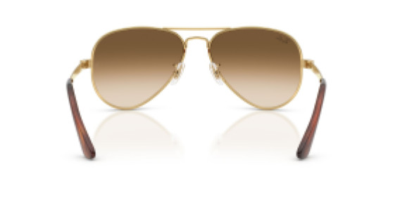 Ray-Ban RB3925 001/51