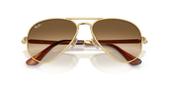 Ray-Ban RB3925 001/51