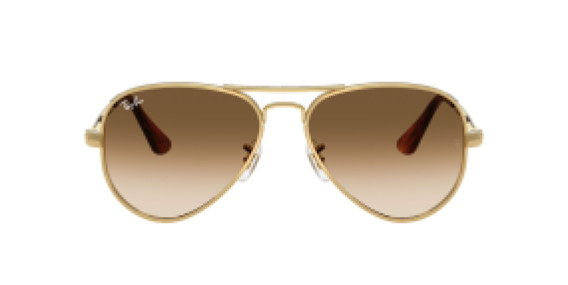 Ray-Ban RB3925 001/51