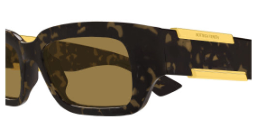 Bottega Veneta BTV1406S 002