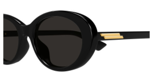 Bottega Veneta BTV1415SK 001