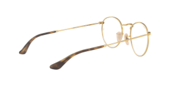 Ray-Ban RX3447V 2945