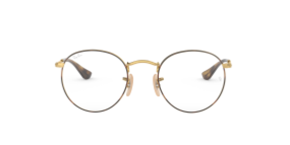 Ray-Ban RX3447V 2945
