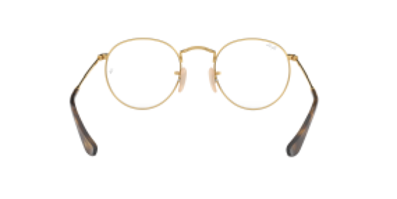 Ray-Ban RX3447V 2945