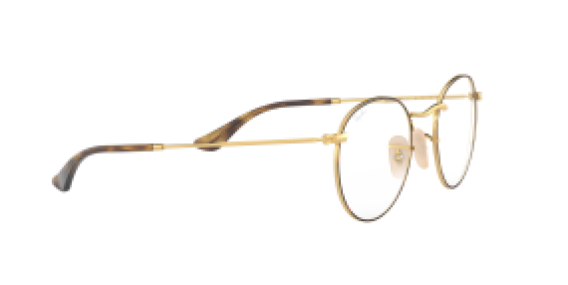 Ray-Ban RX3447V 2945