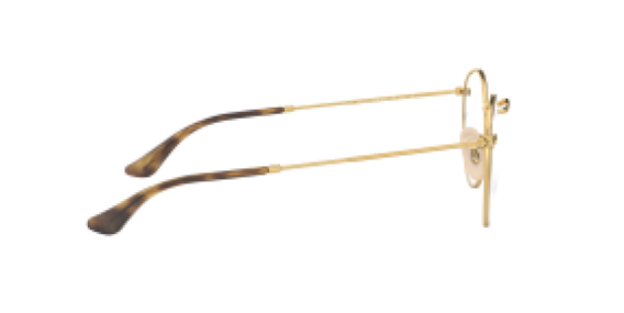 Ray-Ban RX3447V 2945