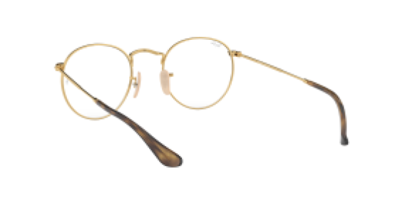 Ray-Ban RX3447V 2945