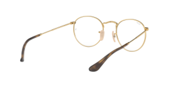 Ray-Ban RX3447V 2945