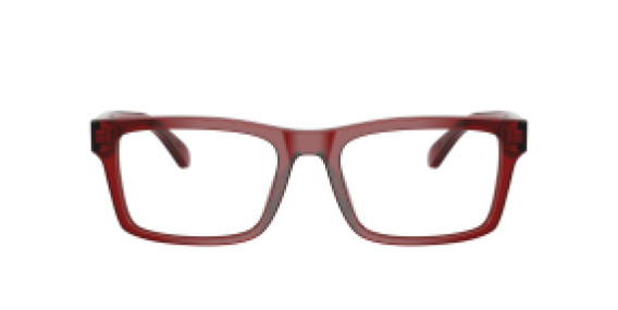 Emporio Armani EA3254 6248