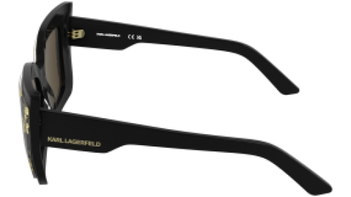 Karl Lagerfeld KL6204S 005