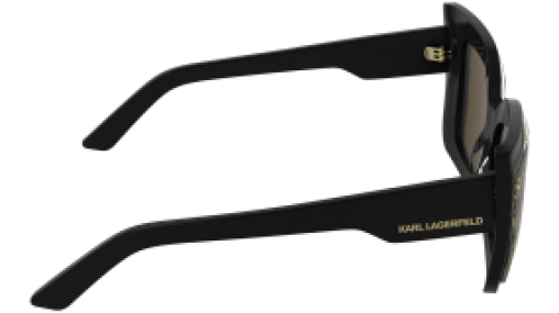 Karl Lagerfeld KL6204S 005