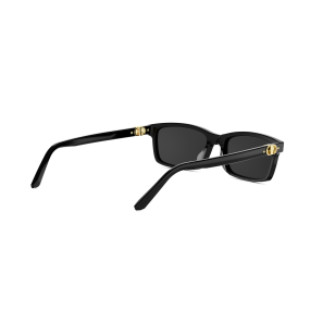 Dior PETIT CD S1I 10A0