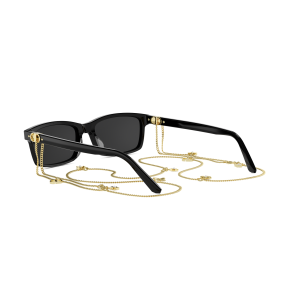 Dior PETIT CD S1I 10A0