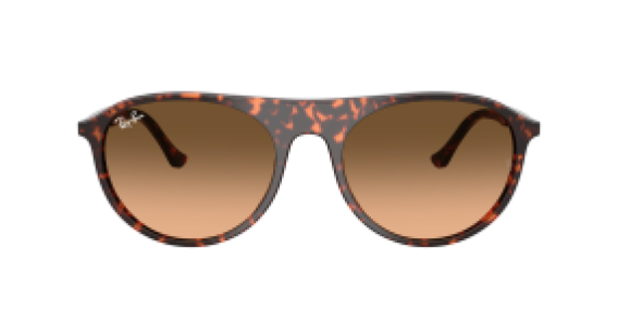 Ray-Ban RB2215 14293B