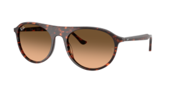 Ray-Ban RB2215 14293B