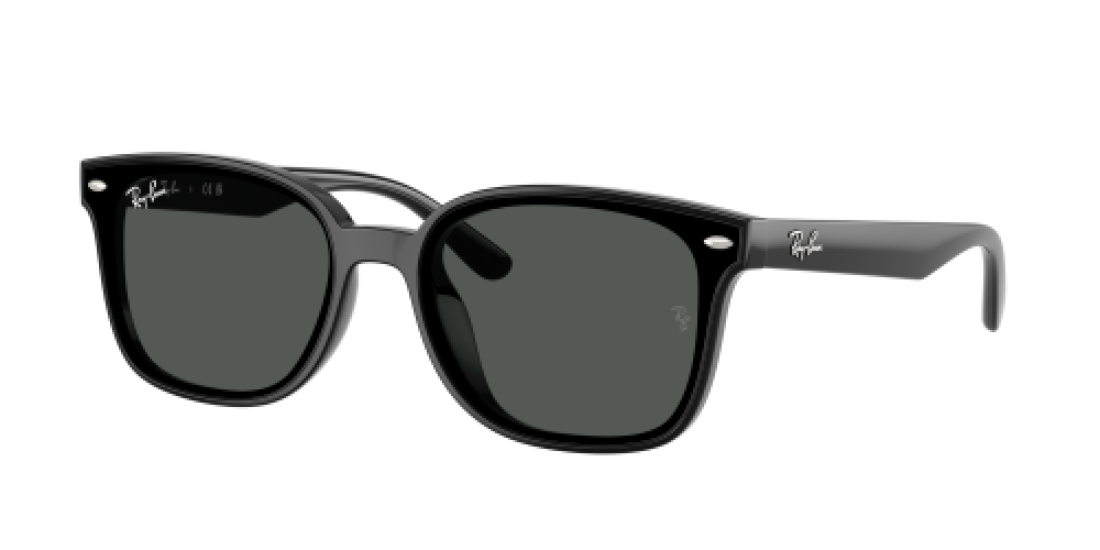 Ray-Ban RB4461D 601/87