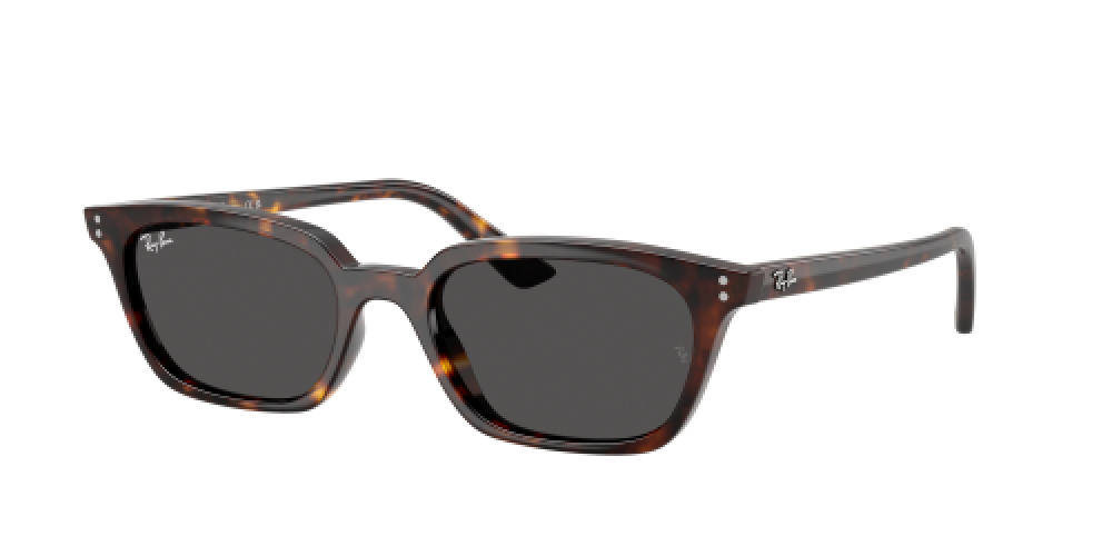 Ray-Ban RB4456 135987