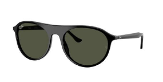 Ray-Ban RB2215 901/31