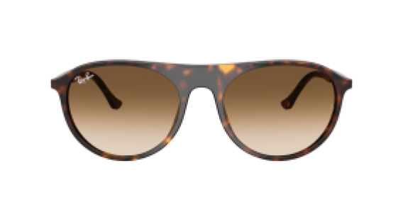 Ray-Ban RB2215 902/51