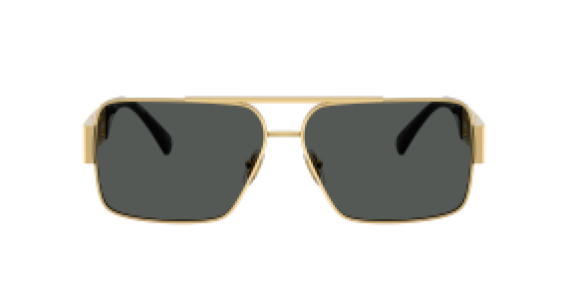 Versace VE2290 100287