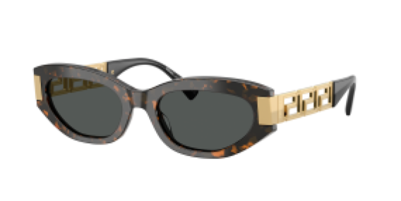 Versace VE4501 552887