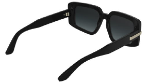 Calvin Klein CK25533S 001