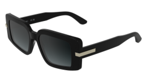 Calvin Klein CK25533S 001