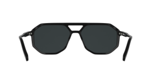 Karl Lagerfeld KL6226S 001