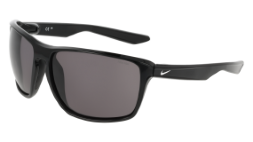 NIKE PREMIER ZONE IQ9343X 010