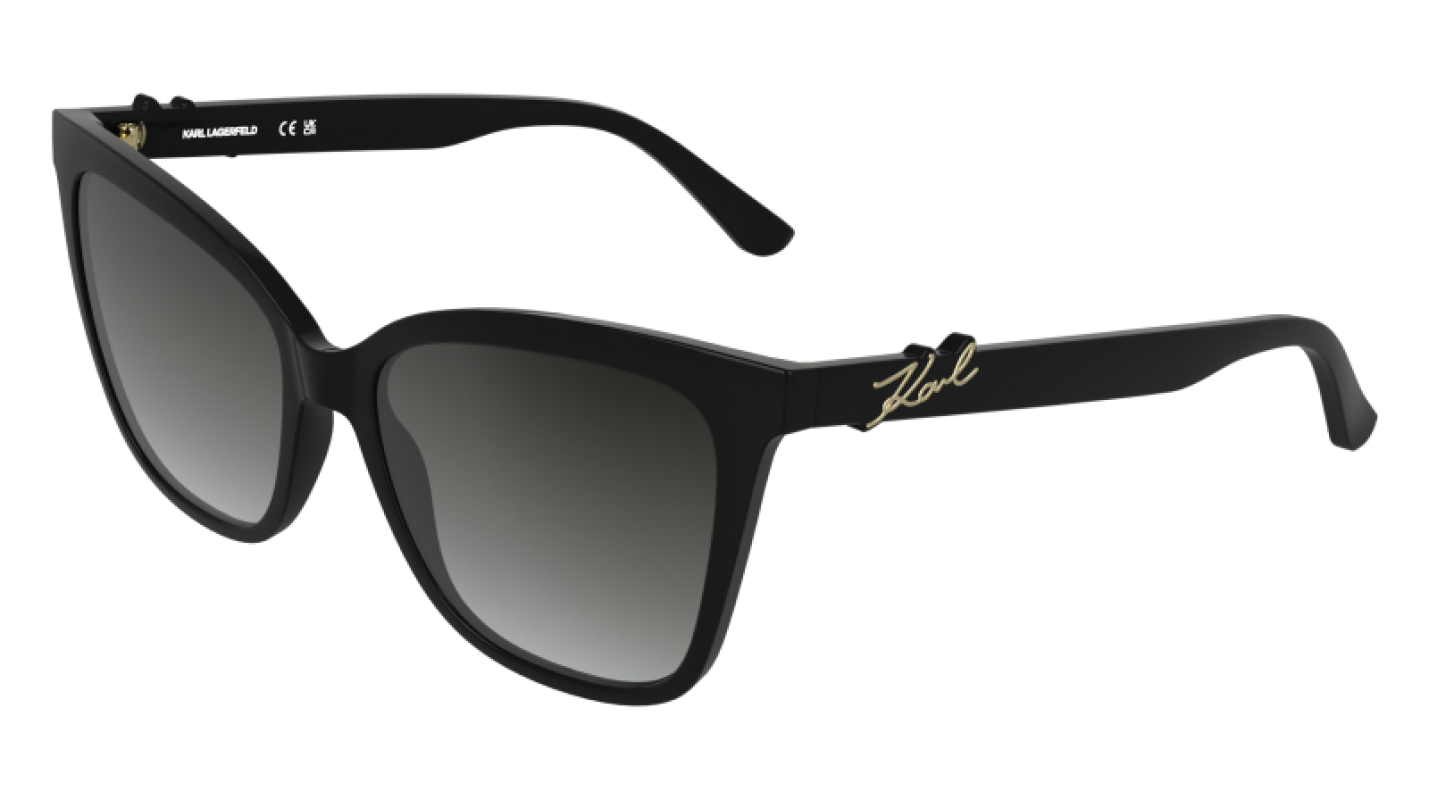 Karl Lagerfeld KL6223S 001