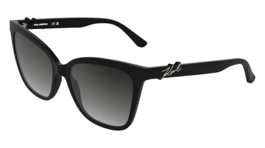 Karl Lagerfeld KL6223S 001