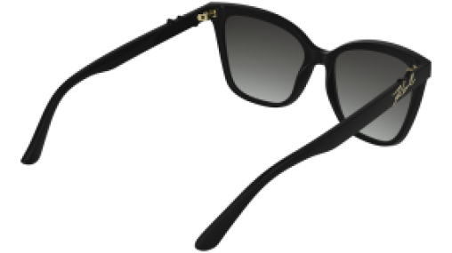 Karl Lagerfeld KL6223S 001