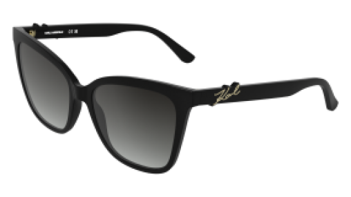 Karl Lagerfeld KL6223S 001